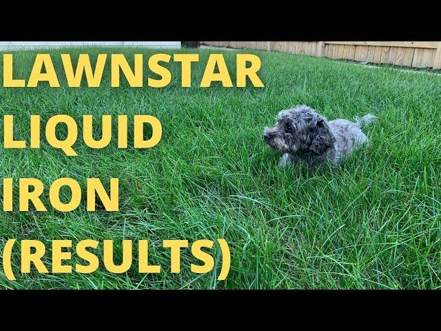 Lawnstar Liquid Iron (Results)