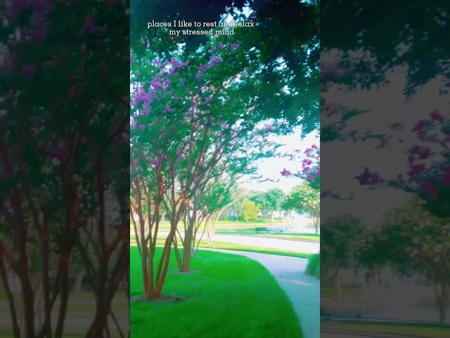 Angaaron se Ambersa lagta #pushpa2 #shreyaghoshal #alluarjun #rashmikamandanna #flowers #फुल #nature