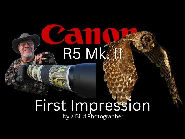 Canon R5 Mk. II First Impression by a Bird Photographer