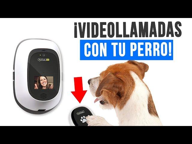 15 ACCESORIOS para MASCOTAS INNOVADORES que te SORPRENDERÁN! 