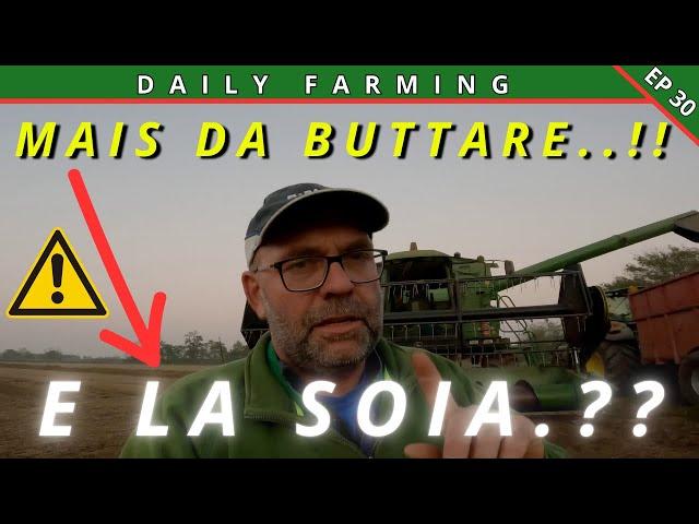 ** TREBBIATURE MAIS E SOIA ** | FINALE DISASTROSO | DAILY FARMING EP 30