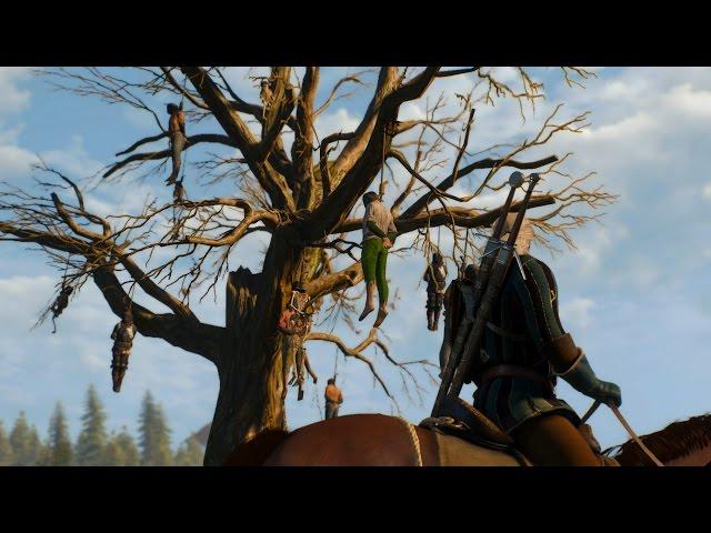 Witcher 3: Wild Hunt - After 12 hours Exclusive - PC, 60fps