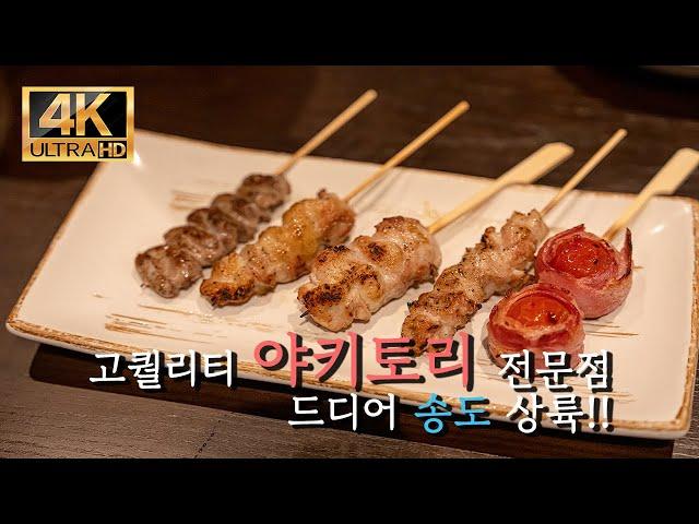 [4K] 송도 사토리, 야키토리를 전문으로 하는 이자카야 (오마카세도 진행)