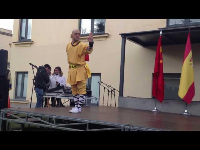 SHAOLIN KUNG FU-QI XIE