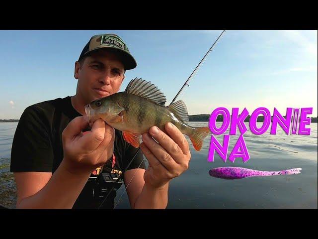 Okoń na jaskółkę latem | Ultra Light Fishing.