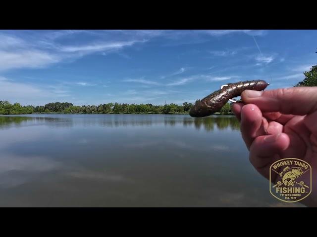 Chatterbait Fails to get the job done. Big Soft Plastics come through again!