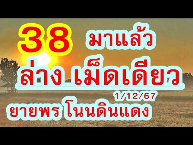 ด่วนๆ มาแล้ว เม็ดเดียว ล่าv ยายพร โนนดินแดง 1/12/67