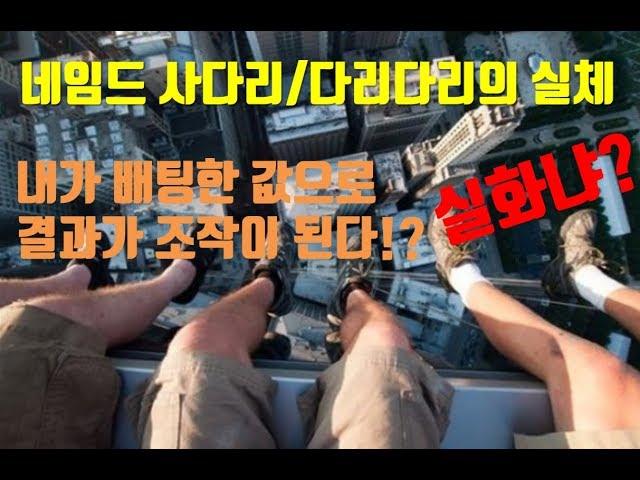 네임드게임의 실체/사다리,다리다리,파워볼