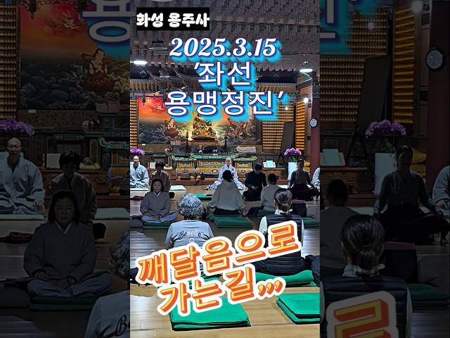 깨달음으로 가는 길!!!'좌선 용맹정진 '화성 용주사 (25.3.15), #화성용주사 #좌선명상 #용맹정진