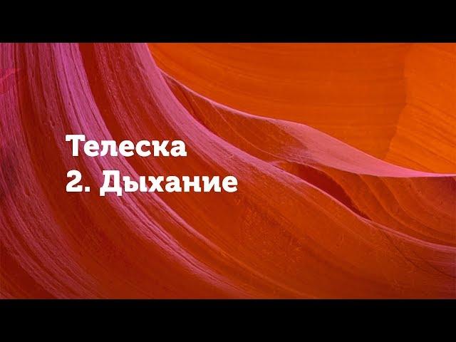 Телесная психология. Дыхание