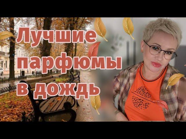 Топ 5 парфюмы для осеннего дождя!