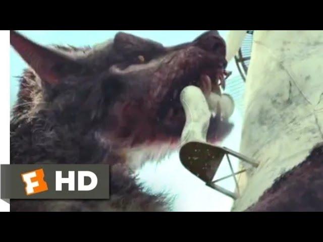 Madness Of Gaint Animals Rampage | Movie Clip | Movies 4U