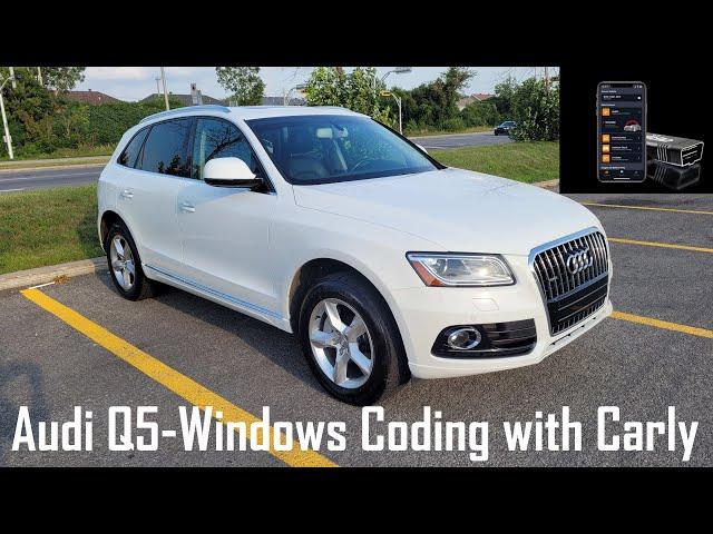 Audi Q5 Comfort Access Windows programming with Carly App
