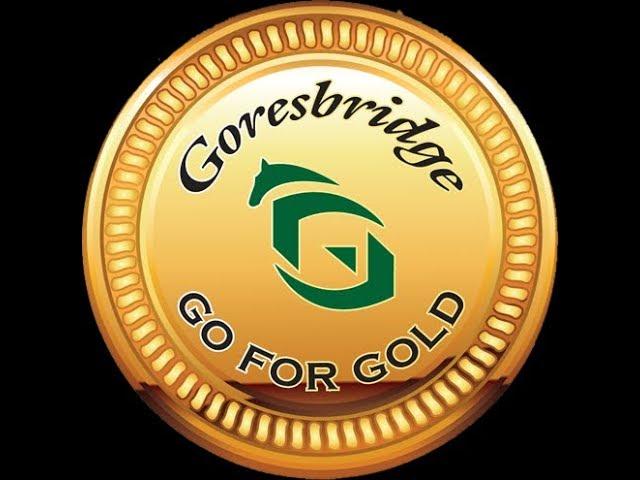 Goresbridge Go For Gold Select Sale Of Eventers Live Stream