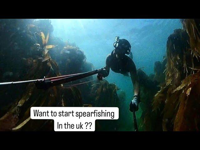 Spearfishing for beginners, Info on the gear needed and Training Tips