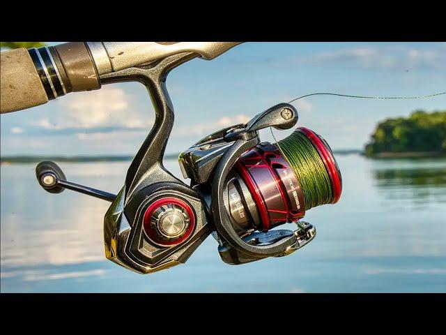 The Best Spinning Reels in 2024