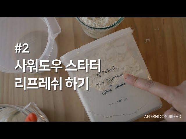 [레시피] 르방, 사워도우 스타터 천연발효종 리프레쉬하기 [오후의빵집] Refresh a Sourdough Starter (Levain) [4K]