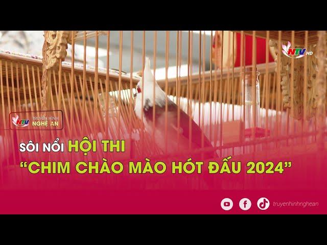 Sôi nổi Hội thi “Chim chào mào hót đấu 2024”