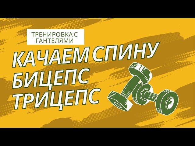 КАЧАЕМ СПИНУ, ТРИЦЕПС И БИЦЕПС ДОМА! ЭФФЕКТИВНАЯ ТРЕНИРОВКА С ГАНТЕЛЯМИ