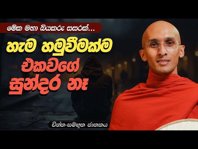 272. හැම හමුවීමක්ම එකවගේ සුන්දර නෑ | චිත්ත සම්භූත ජාතකය | 2024-02-26