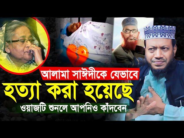 আল্লামা সাঈদীকে যেভাবে হ'ত্যা করা হয়েছে | শুনলে আপনিও কাঁদবেন মুফতী আমির হামজা | amir hamza new waz