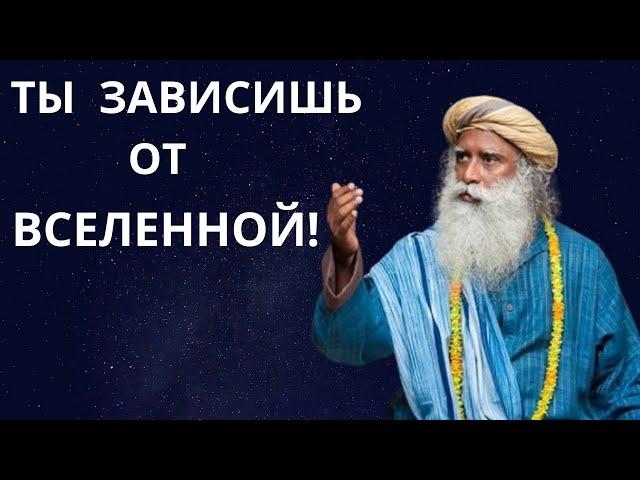 ТЫ МОЖЕШЬ ПРЕДСКАЗАТЬ ПОГОДУ-САДХГУРУ#садхгуру