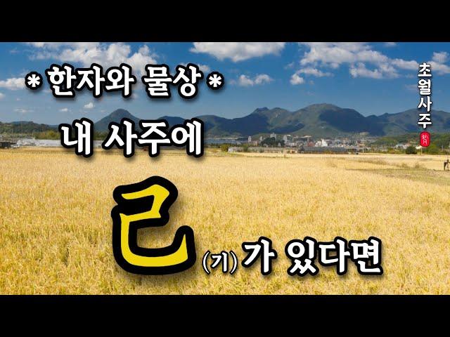 [사주운세] 내 사주에 기(己)가 있다면!?