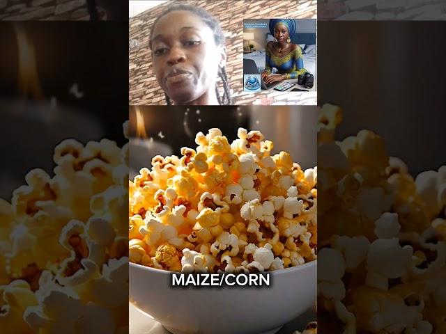 #maize #Corn #Agriculture #MaizeHistory #SustainableFarming #CropProduction #AgricultureEducation