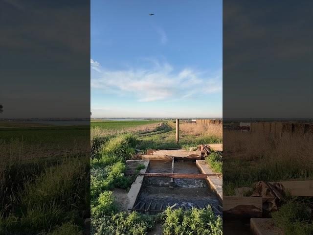 Division Explained   4K #irrigation #dividingbox #water #farming