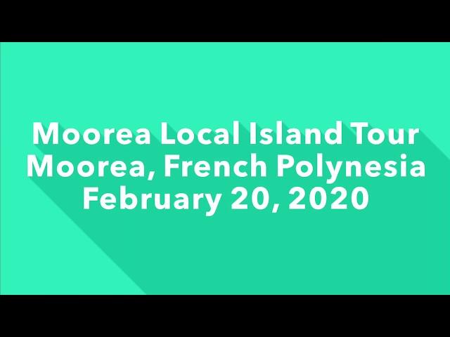 Moorea Local Island Tour 2/20/20