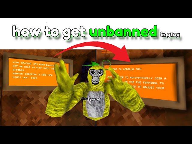 How to get unbanned in gtag