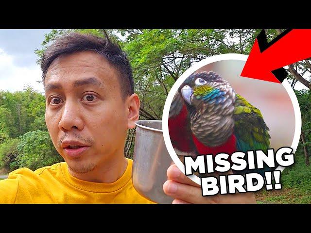 EMERGENCY! Our Parrot Escaped and is Missing!  | Vlog #1783