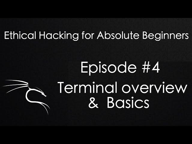 Ethical Hacking - Terminal Overview & Basics - Ethical Hacking for Absolute Beginners - Episode #4