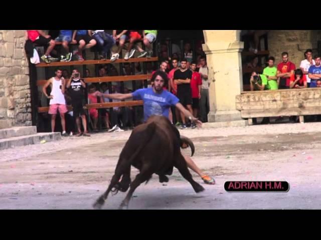 VIDEOCLIP DVD BOUS ADRIÁN HERNÁNDEZ MARÍ 2015 2º PARTE 1º DVD
