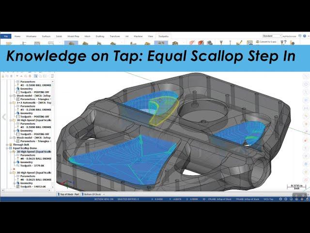 Knowledge on Tap: Equal Scallop Step In