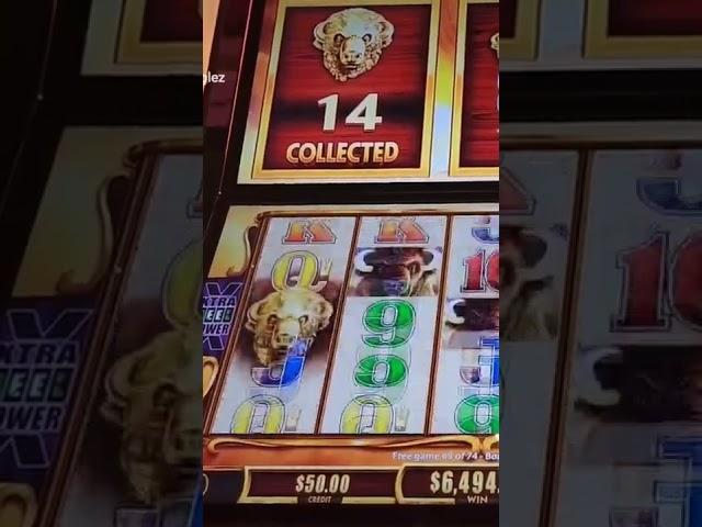 HUGE JACKPOT WIN ON THE CARNIVAL VALOR! I GOT ALL 15 HEADS ON BUFFALO REVOLUTION!!! OMGGGG!!!!