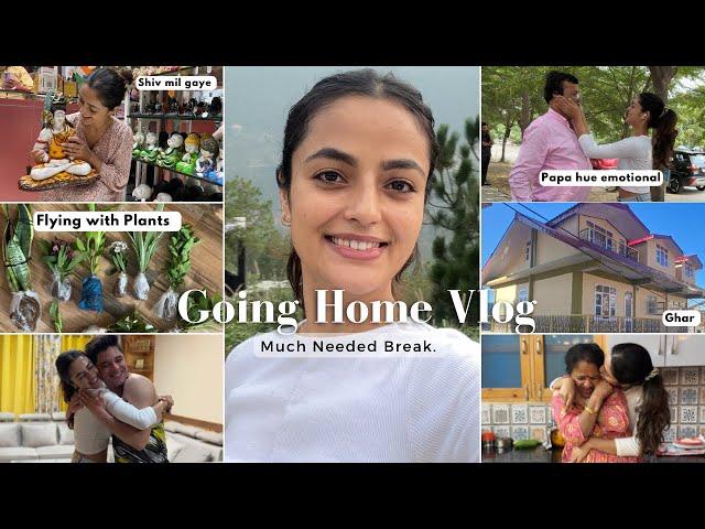 Going Home Vlog : (Shimla)  Meet my Family || Flying with Plants  || Garima Verma ||