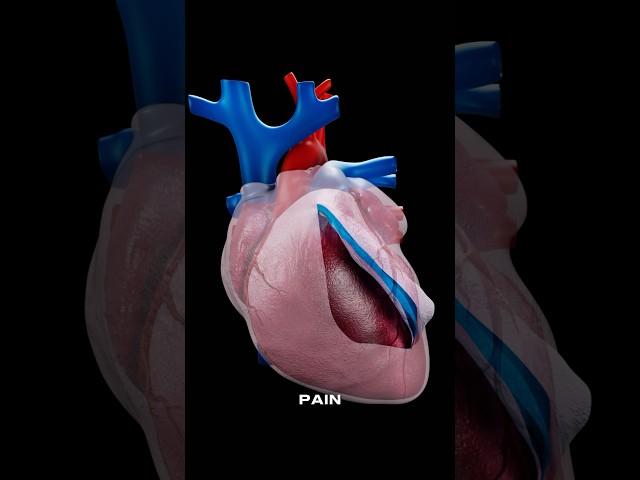 Do You Have a Healthy Pericardium?