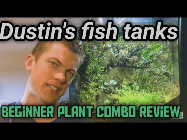 Dustins Fish tanks: beginner plant combo review!