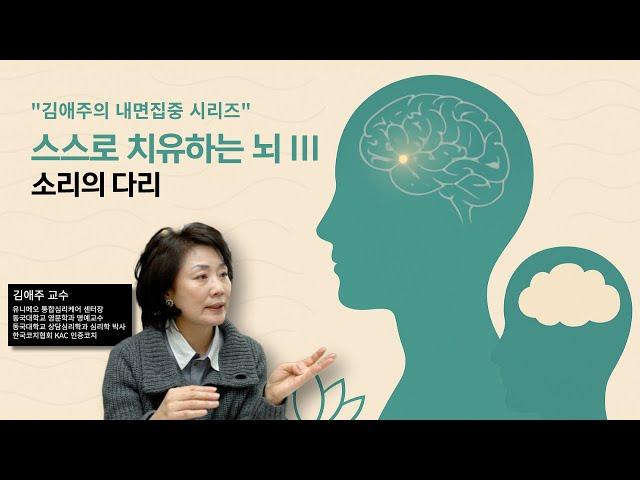 스스로 치유하는 뇌 III  소리의 다리