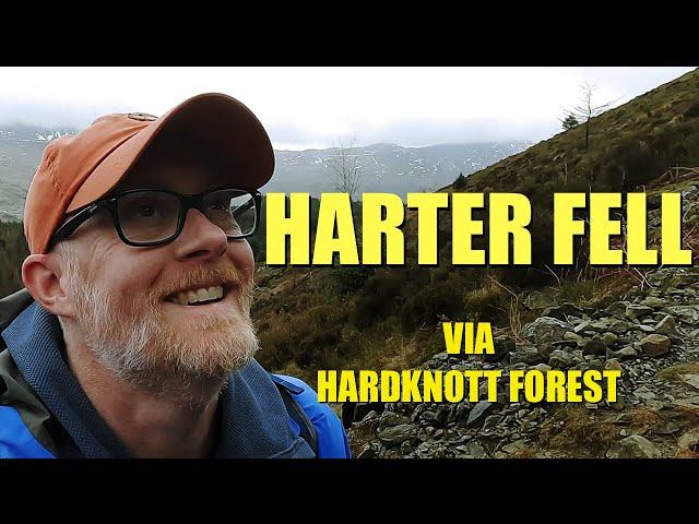 Lake District Walks | Walking the Wainwrights | Harter Fell  (Eskdale) via Hardknott Forest