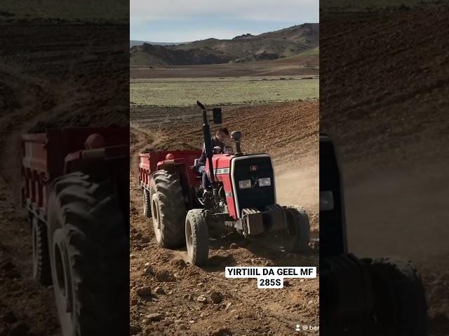 Ciğeeer Sesi Massey ferguson 285S Gübre çekiyor!