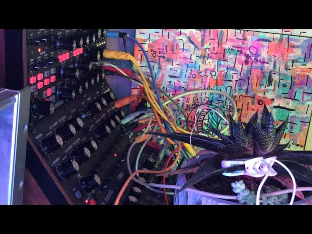 Lawyers Tongue Controlling Moog ecosystem Make Noise 0 coast and prophet rev 2