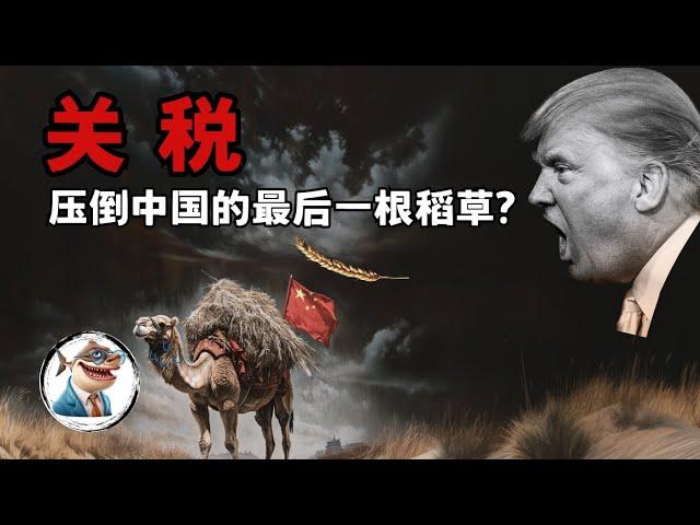 关税会成为压倒中国经济的最后一根稻草吗?「宏观经济看世界」