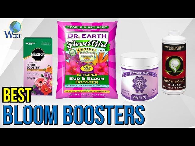 10 Best Bloom Boosters 2017