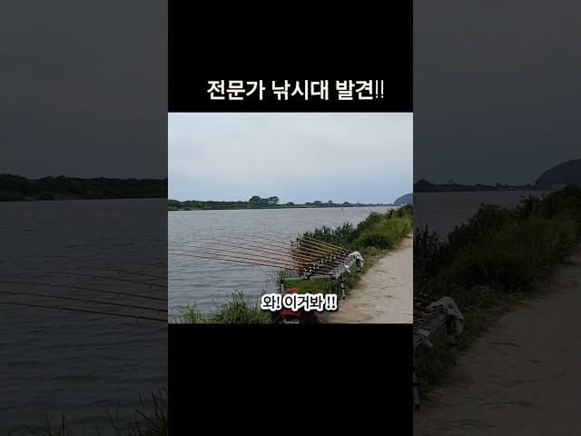 낚시대 전문가다!! 와~~~ #낚시대  #낚시용품 #낚시피플 #낚시터 #강화도낚시터 #자연 #시골 #저수지 #저수지낚시 #저수지낚시터