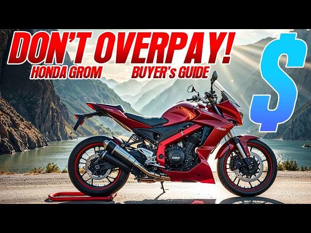 Top Motorcycle Alternatives to the Honda Grom  [don’t buy one before watching this]