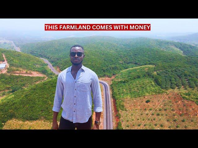 Farmland With Valuable Trees Is For Sale In Ghana | It's Close To Safari Valley