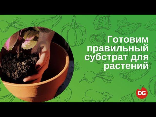 №7 Как приготовить правильный субстрат для растений