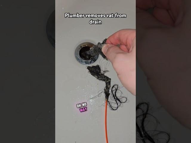  How to remove a hair ball from the drain #diy #handyman #plumbing